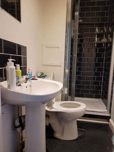 格拉斯哥Cosy Glasgow Southside Flat的一间带水槽、卫生间和淋浴的浴室