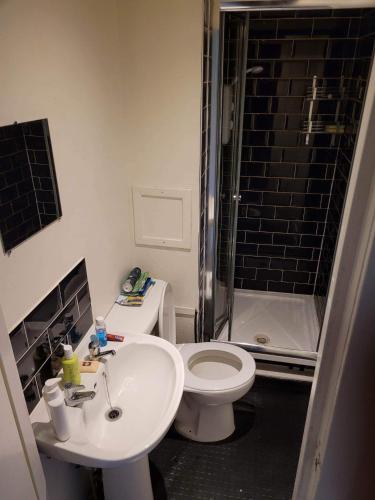 格拉斯哥Cosy Glasgow Southside Flat的浴室配有卫生间、盥洗盆和淋浴。