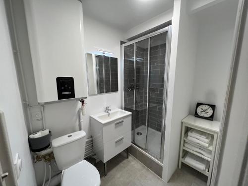 格拉斯L'HEURE BLEUE, magnifique 2 pièces neuf centre historique的白色的浴室设有卫生间和淋浴。