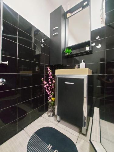 萨拉热窝Pandora's Place的黑色浴室设有水槽和镜子