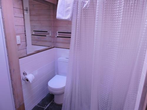 克拉肯巴克克拉肯巴可农场宾馆的一间带卫生间和淋浴帘的浴室