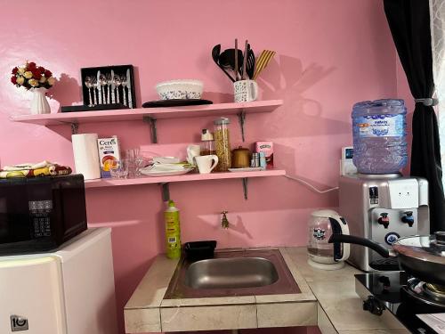 KerichoRuth's Studio - Kericho的厨房配有水槽和粉红色的墙壁