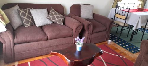 巴拉斯港蓝湖山林小屋的客厅配有2张棕色沙发和1张桌子