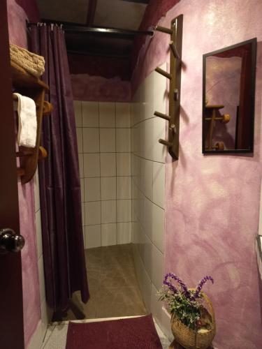 奥克萨潘帕BIOSFERA LODGE GLAMPING tipi 2 personas的浴室设有粉红色的墙壁和植物淋浴