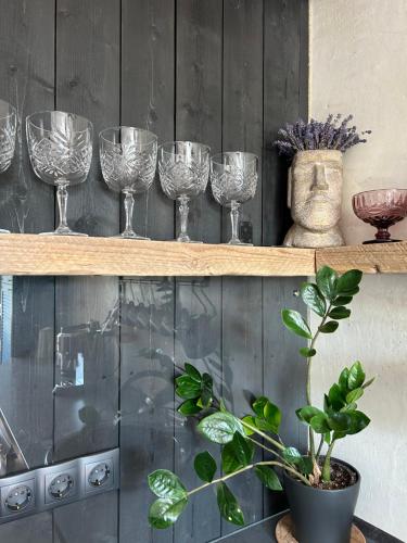 利耶帕亚Mareena_apartments的酒架上装有酒杯的架子和植物