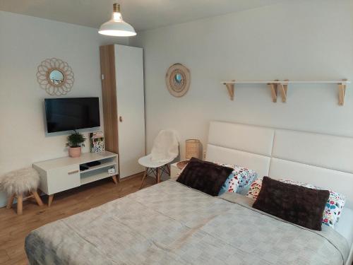 维斯瓦Sielankowo的一间卧室配有一张床、一台电视和一把椅子