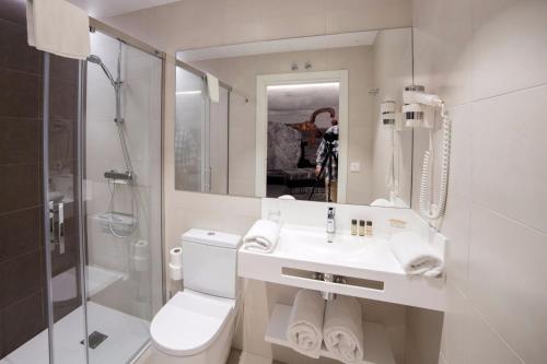 阿斯蒂加拉加Pension Txingurri的浴室配有卫生间、盥洗盆和淋浴。