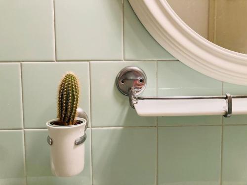 韦内雷港La Casetta的浴室墙上的盆子里的仙人掌