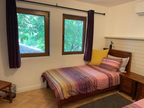 阿巴纳西Angliiska Vila的一间卧室设有一张床和两个窗户。