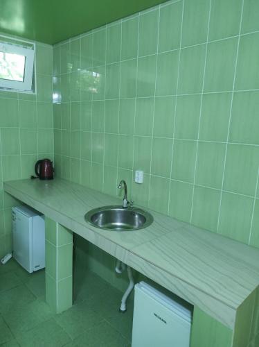 苏呼米Гостевой дом ИРИНА的一个带水槽的厨房台面