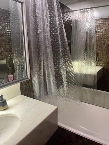 蒙特卡罗Studio im Herzen von Monte Carlo的浴室配有淋浴帘和盥洗盆。