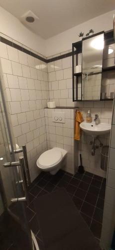 阿姆斯特丹joni, not a hotel, not for parties的一间带卫生间和水槽的浴室