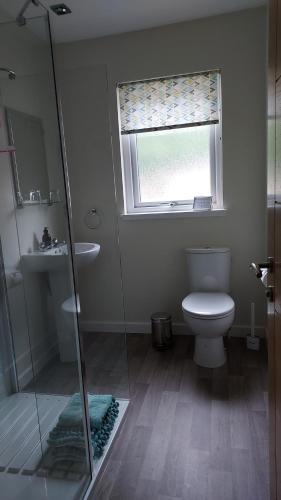 阿伯劳尔Strathalban cottage的一间带卫生间、水槽和窗户的浴室