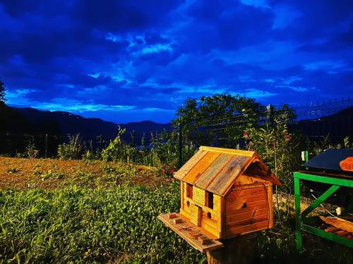 特拉布宗Trabzon Mountain House-UZUNLU的坐在田野上的木鸟屋