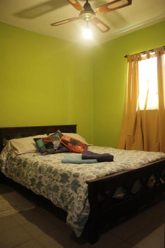 拉蓬塔Casa Mandarina的一间卧室设有一张带绿色墙壁和天花板的床。