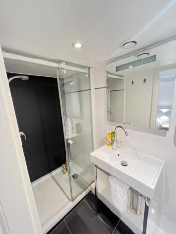 斯特拉斯堡Residence OLit Cathédrale的带淋浴和盥洗盆的白色浴室