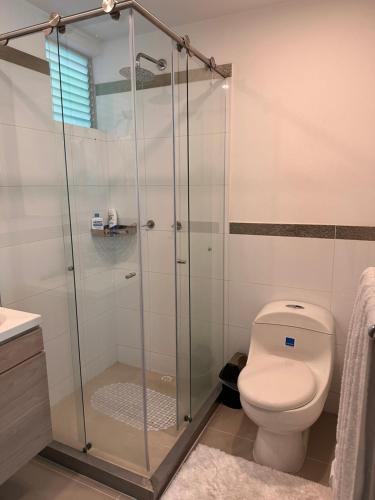 亚美尼亚Charming Apartment Northern Armenia的一间带卫生间和玻璃淋浴间的浴室
