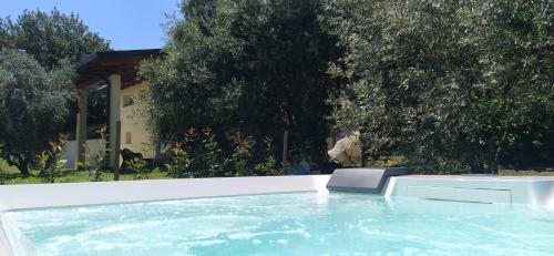 卡普里诺韦罗内塞Carmen de Nella Eco Lodge 4*的后院的热水浴池及其椅子