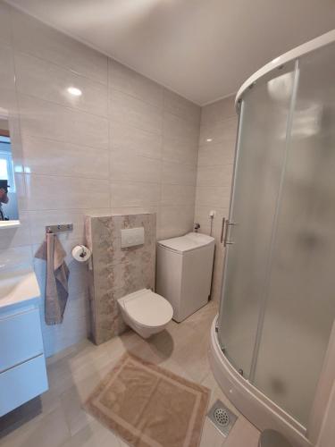 斯塔里格勒Apartmani Elisa的一间带卫生间和淋浴的浴室