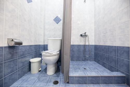 波罗斯Evita's Resort的一间带卫生间和淋浴的浴室
