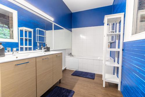 Le Patchouli Billard, Jardin & Confort的浴室设有蓝色的墙壁、水槽和梯子