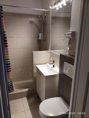 布加勒斯特Fabian central apartment的浴室配有卫生间、盥洗盆和淋浴。