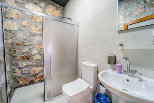 费特希耶Manzara Bungalov的带淋浴、卫生间和盥洗盆的浴室