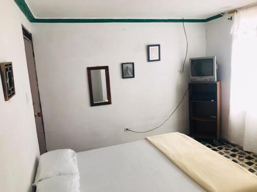 佩雷拉Hostal la 18的一间卧室配有一张床,墙上配有电视