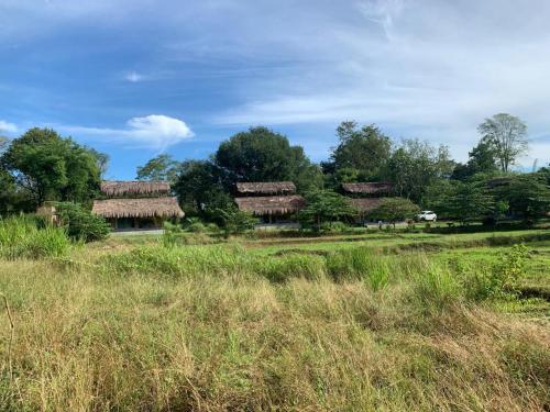 TalakolawelaWeb of Life Resort Wasgamuwa的一群茅草屋顶在田野上的房子