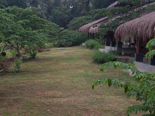 TalakolawelaWeb of Life Resort Wasgamuwa的一座有草地和树木的院子