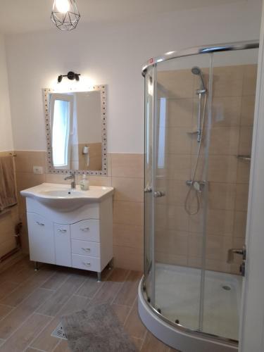 弗格拉什Ludo的带淋浴、盥洗盆和镜子的浴室