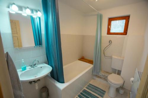 BadacsonyCsabagyöngye Apartman Badacsony的一间带水槽、卫生间和淋浴的浴室