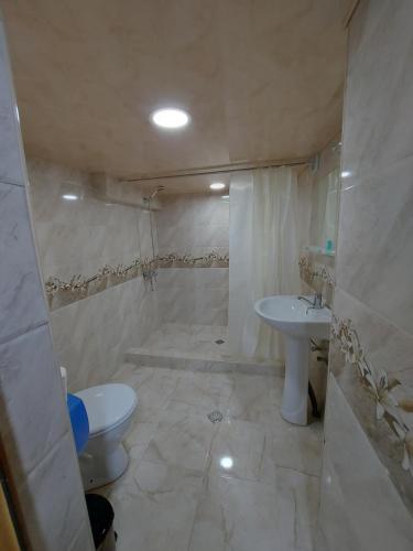 阿哈尔齐赫Hotel Rabat Castle的白色的浴室设有卫生间和水槽。