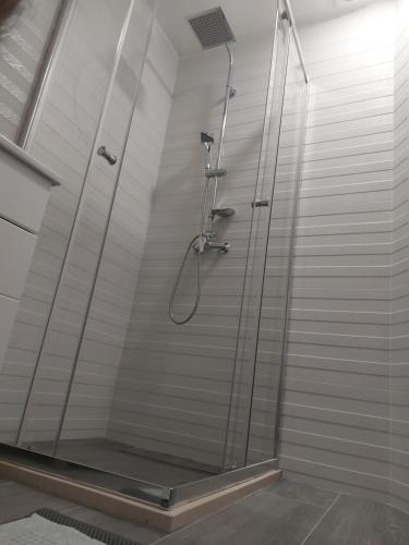 采蒂涅Lučić GUESTHOUSE的浴室里设有玻璃门淋浴