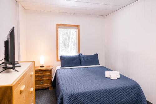Delta JunctionDelta Lodge的一间卧室配有蓝色的床和电视