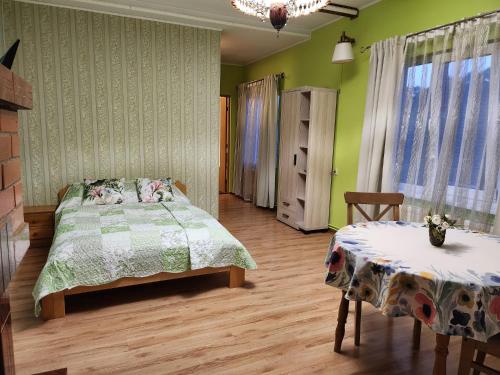 里加Renau的一间卧室设有绿色的墙壁、一张床和一张桌子