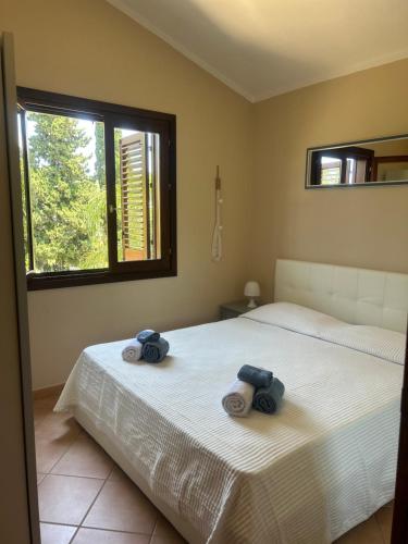 坎波菲利斯·迪·罗切Casa vacanza DF con piscina的一间卧室设有两张床和窗户。