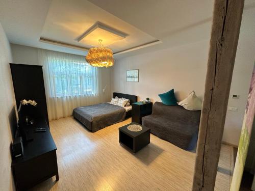 里加Studio apartment in private house的客厅配有沙发和1张床