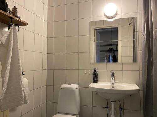 LosLokatten Wärdshus的一间带卫生间、水槽和镜子的浴室