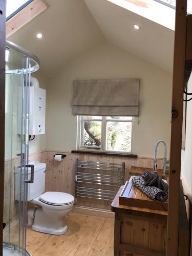 金斯林Woodpecker Cabin with Hot tub的一间带卫生间、水槽和窗户的浴室