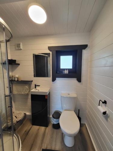 杜林Blue Haven Lodge的一间带卫生间和水槽的小浴室