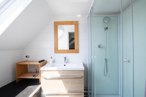 里尔SOUVENIRS VIEUX LILLE Apartment 2 Chambres 24H24H Access的一间带水槽和淋浴的浴室