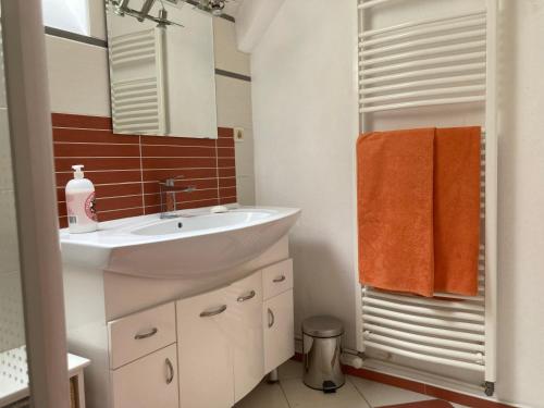 圣马塞尔Le Bois des Sources的浴室设有白色水槽和橙色毛巾。
