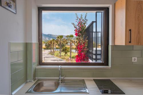 马尔马里安西亚公寓酒店的厨房水槽和享有街景的窗户