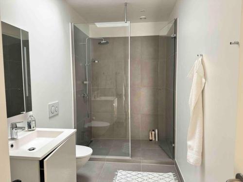 哥本哈根Penthouse-Nordic-Citycenter-Balcony的带淋浴、卫生间和盥洗盆的浴室