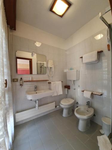 奥斯塔乐帕吉欧特酒店的浴室设有2个卫生间、水槽和镜子