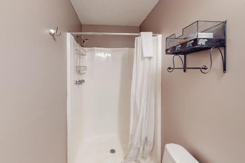 DoverGlorious Scenery的一间带白色淋浴帘的浴室