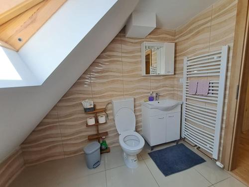 杜加雷萨Apartment Iva的一间带卫生间和水槽的浴室