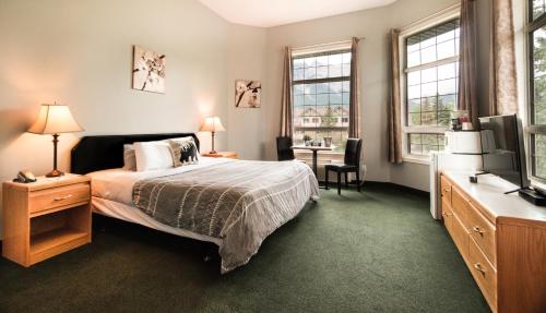 坎莫尔山景旅馆的一间卧室配有一张床、一张书桌和一台电视