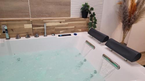 La BasséeGrand Studio magnifique avec Spa privatif illimité的一个带两个卫生间的按摩浴缸